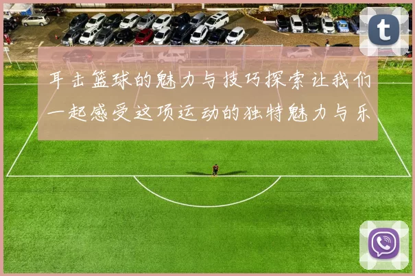 耳击篮球的魅力与技巧探索让我们一起感受这项运动的独特魅力与乐趣