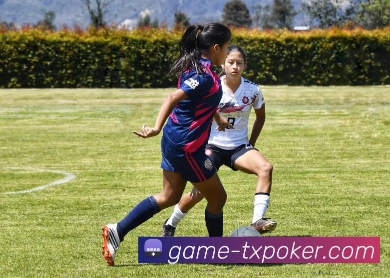 德州扑克中国平台生态图